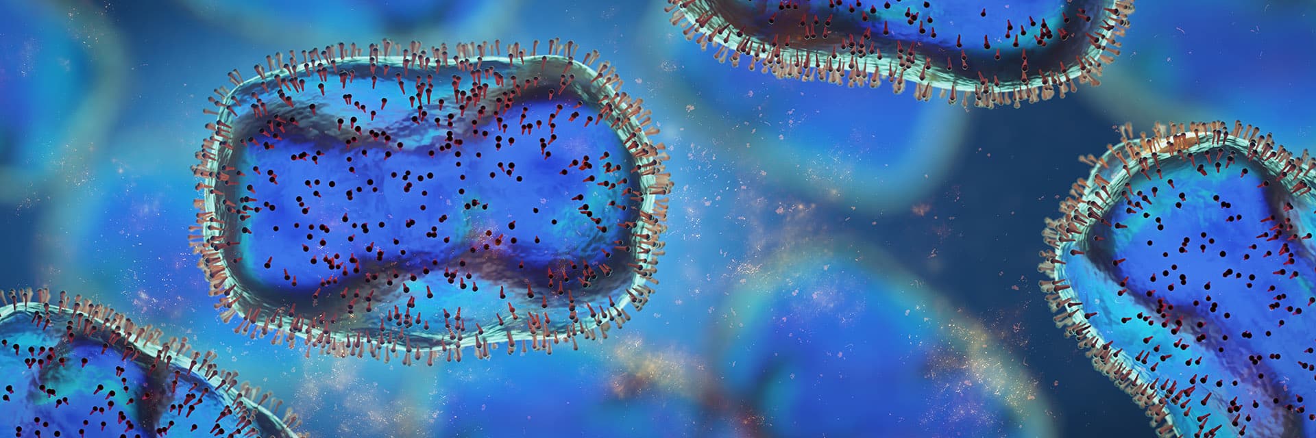 Monkeypox viruses, pathogen closeup, infectious zoonotic disease, background banner format
