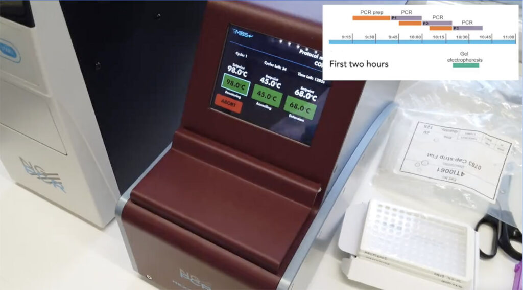 Express barcoding: NextGenPCR revolutionized COVID detection - now it's accelerating DNA barcoding! See how 2 students barcode 250 flies  in 6 hrs with equipment that fits on a lab bench: better and faster than morphospecies sorting.